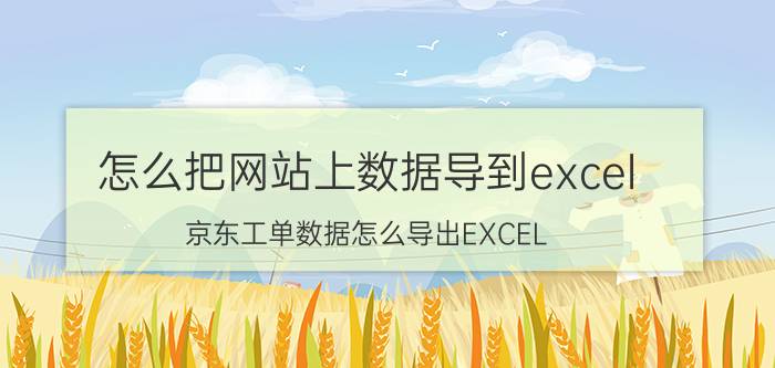 怎么把网站上数据导到excel 京东工单数据怎么导出EXCEL？